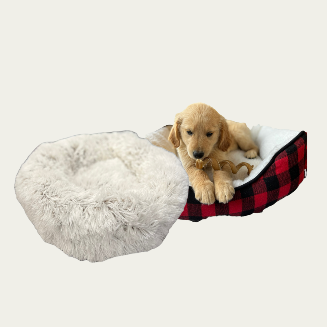 Dog Beds