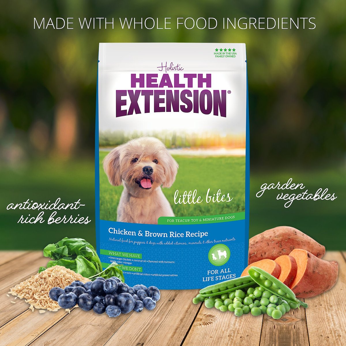 holistic health extension little bites, description