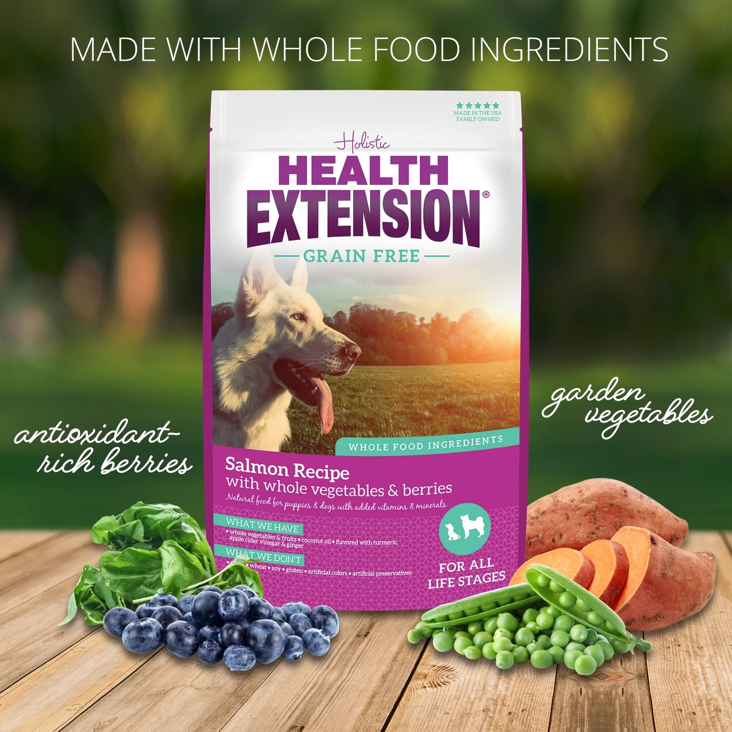 Health Extension Salmon Recipe