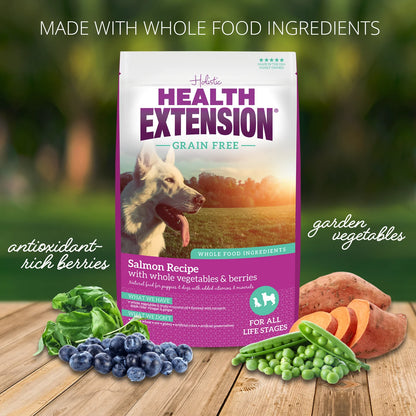 Health Extension Salmon Recipe