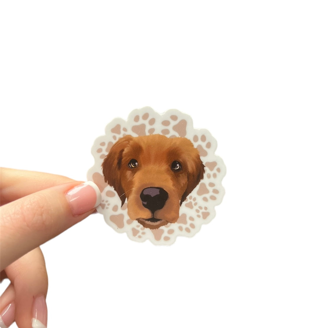 Golden Retriever Puppy Sticker